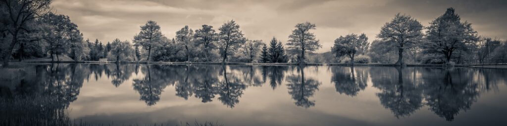 L'authenticité de la nature en noir et blanc